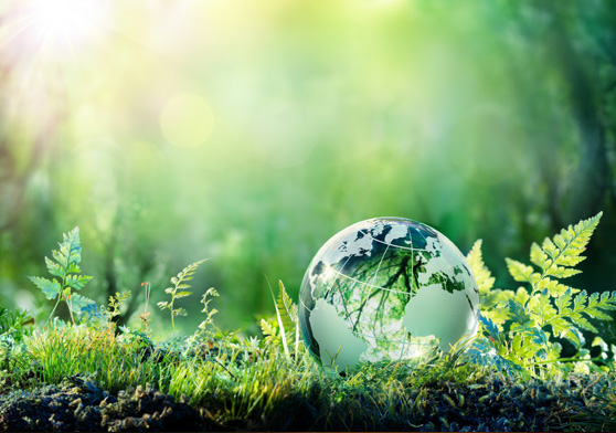 Image of a glass ball laying in the grass